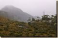 Cradle-Mountain-Nationalpark