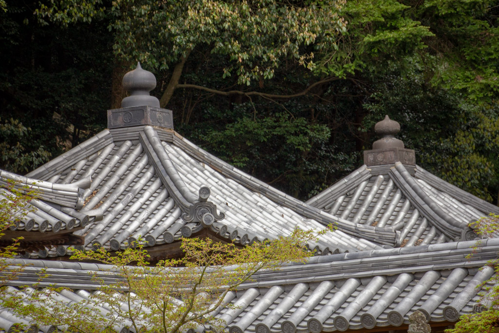 Japan (2018) - Himeji - Mount Shosha & Engyoji Tempel