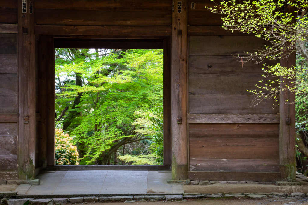 Japan (2018) - Himeji - Mount Shosha & Engyoji Tempel