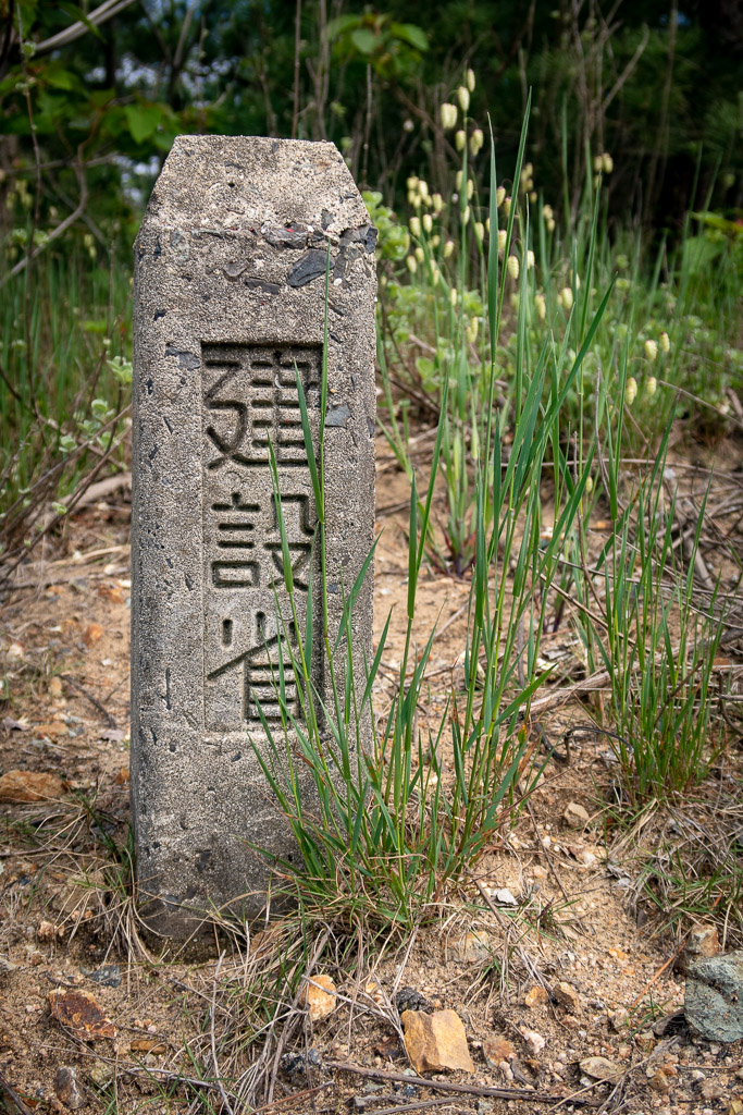 Japan (2018) - Tottori - Die Sanddüne