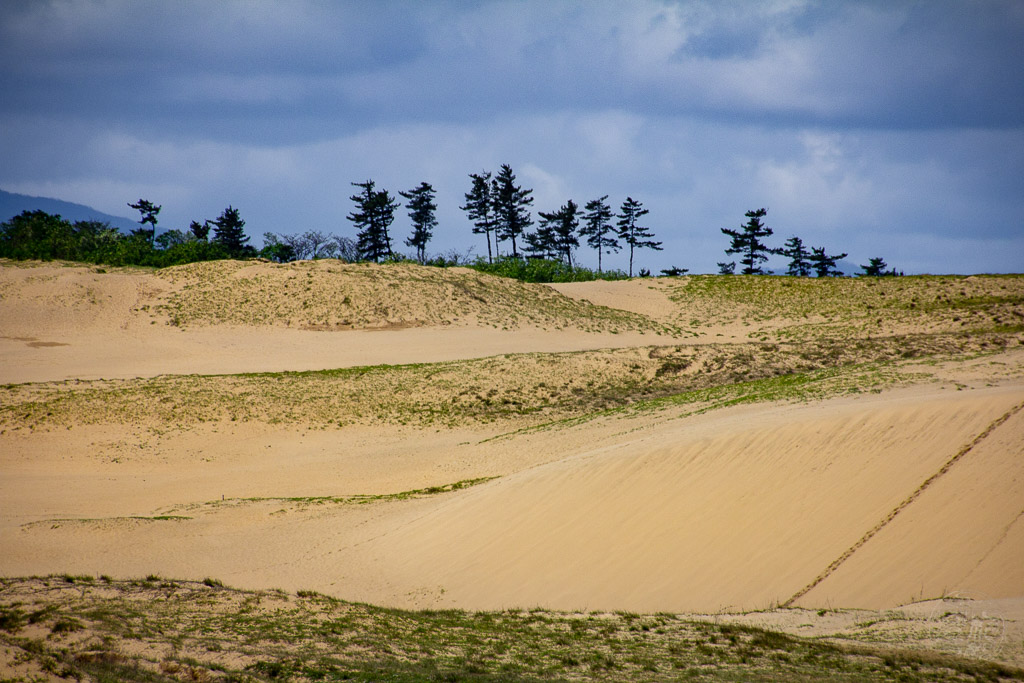 Japan (2018) - Tottori - Die Sanddüne