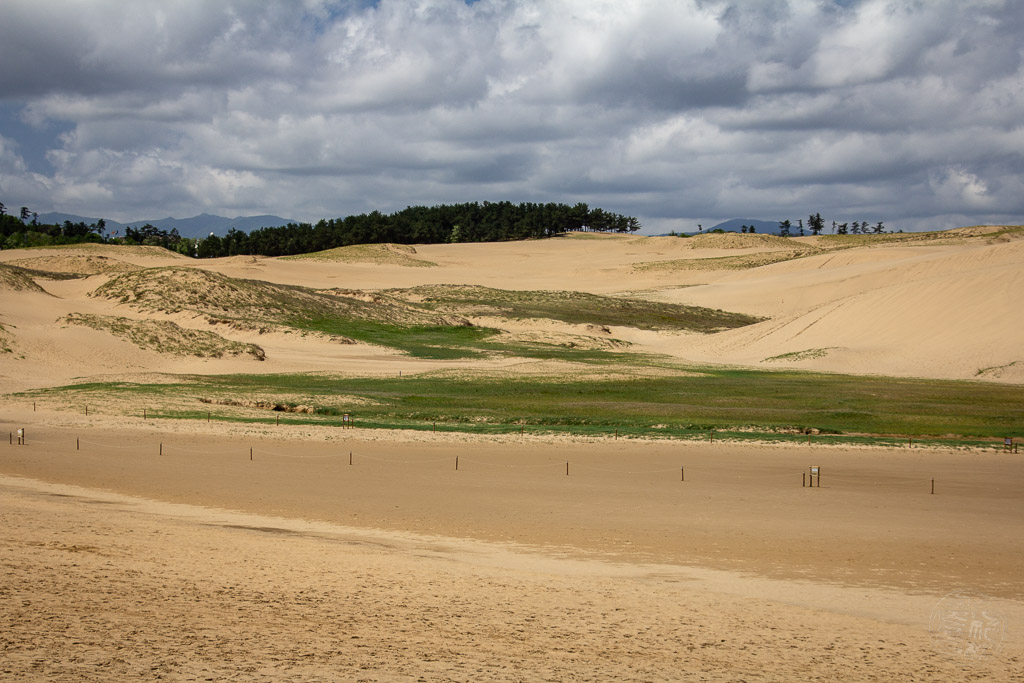 Japan (2018) - Tottori - Die Sanddüne