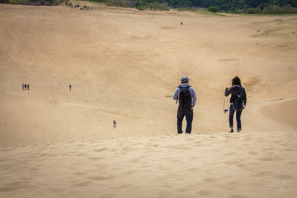 Japan (2018) - Tottori - Die Sanddüne