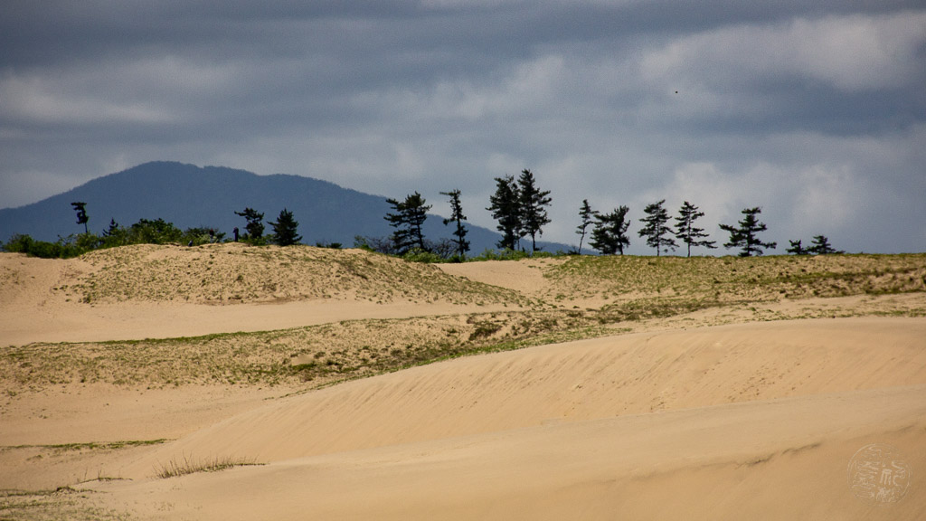 Japan (2018) - Tottori - Die Sanddüne