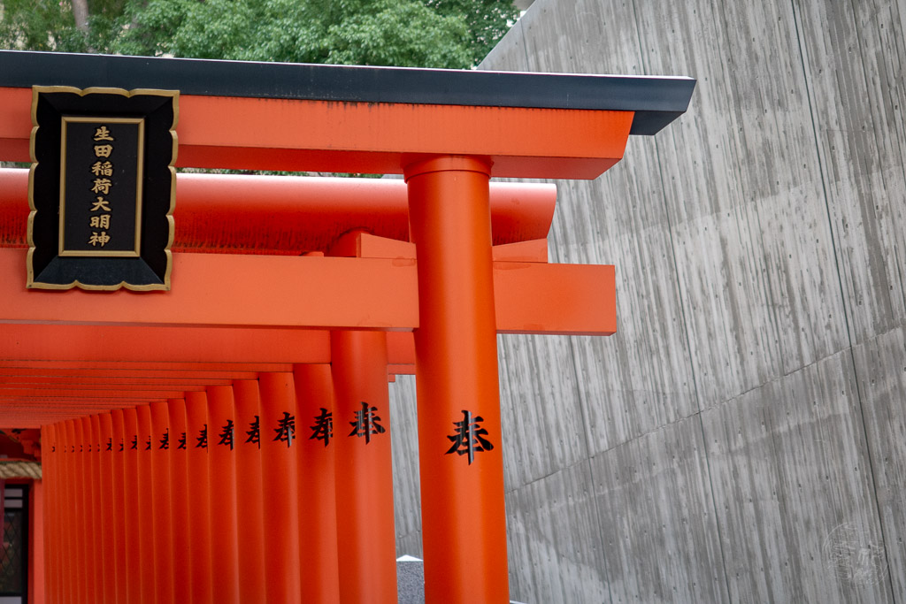 Japan (2018) - Kobe - Ikuta-Schrein