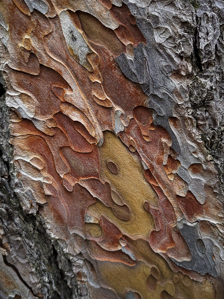 Japan (2019) - 005 Kyoto Kaiserpalast