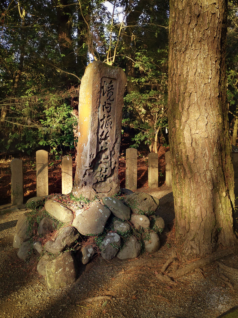 Japan (2019) - 035 Miyazaki Sumiyoshi Shrine (Zoo)