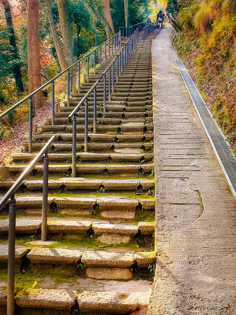 Japan (2022/23) -008 (T007) Arashiyama Affenpark Iwatayama
