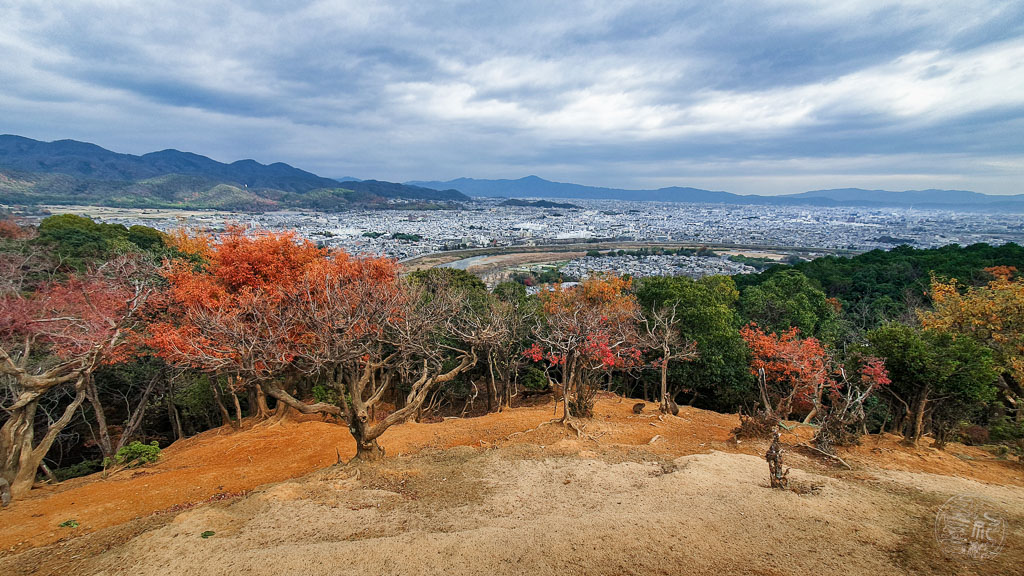 Japan (2022/23) -008 (T007) Arashiyama Affenpark Iwatayama