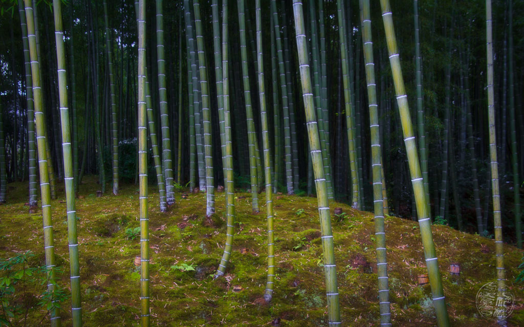Japan (2022/23) - 016 (t016) Kyoto - Tenryū-ji Tempel