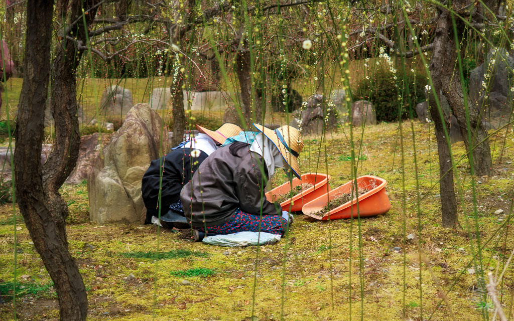 Japan (2022/23) - 20230215-115739-IMG_0097-Bearbeitet
