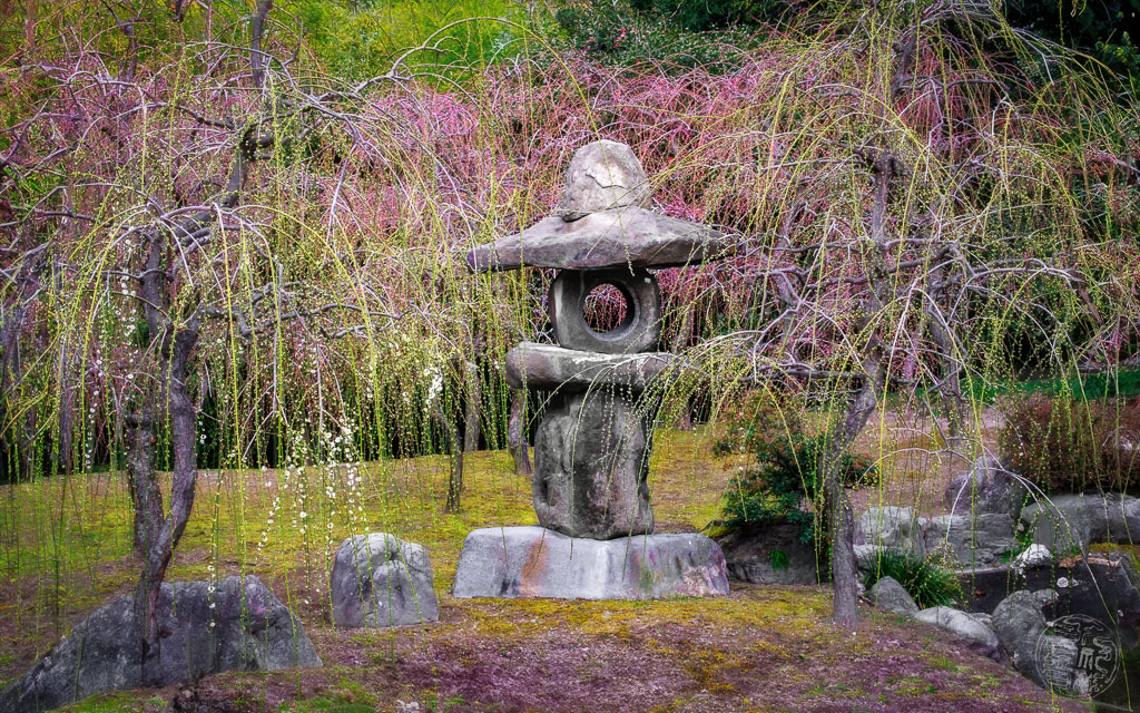 Japan (2022/23) - 20230215-115954-IMG_0107-Bearbeitet